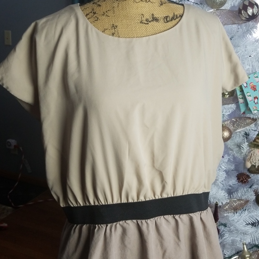 Dress - Picture 2 of 5